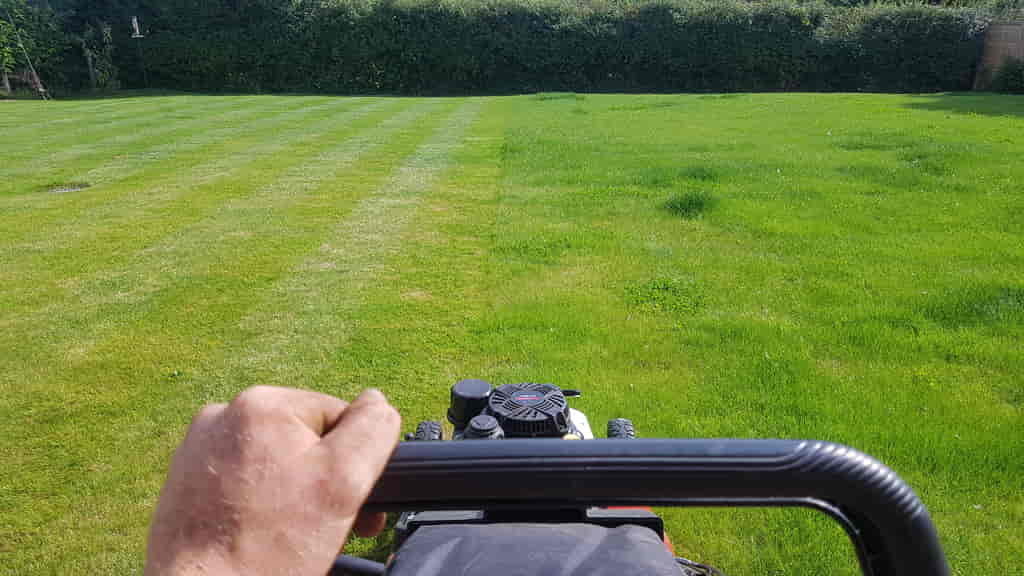 Mowing a lawn in Hook Green