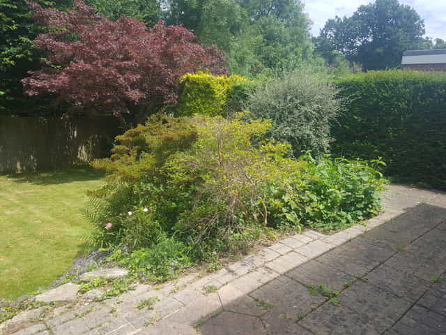 Border and garden clearance in Pembury