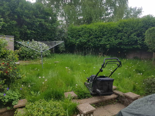Cutting long grass in Tunbridge Wells